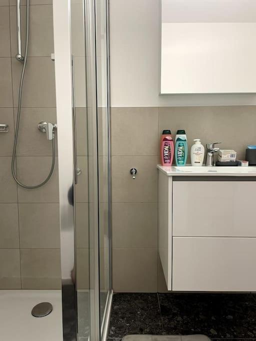 Five Stars Comfort Near The Lake * Lugano