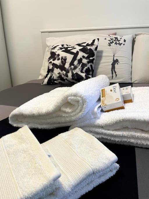 Five Stars Comfort Near The Lake Apartment *